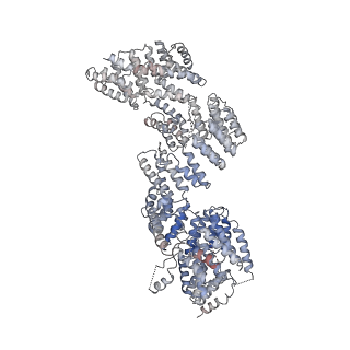 28866_8f5o_D_v1-1
Structure of Leishmania tarentolae IFT-A (state 1)