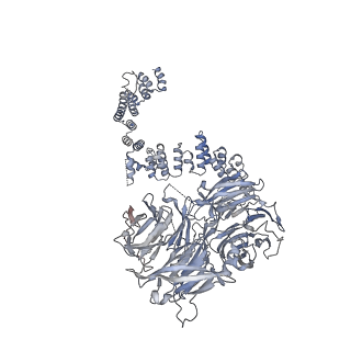 28866_8f5o_E_v1-1
Structure of Leishmania tarentolae IFT-A (state 1)