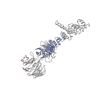 28866_8f5o_F_v1-1
Structure of Leishmania tarentolae IFT-A (state 1)