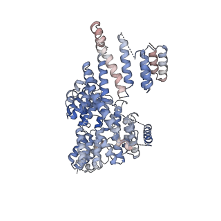 28867_8f5p_D_v1-1
Structure of Leishmania tarentolae IFT-A (state 2)