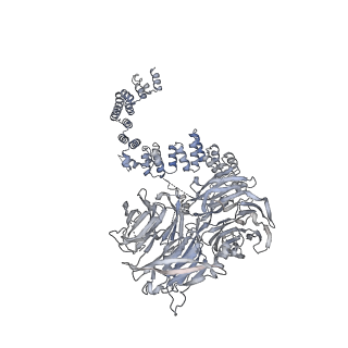 28867_8f5p_E_v1-1
Structure of Leishmania tarentolae IFT-A (state 2)