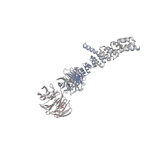 28867_8f5p_F_v1-1
Structure of Leishmania tarentolae IFT-A (state 2)