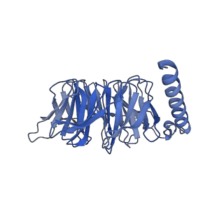 31456_7f53_B_v1-1
Cryo-EM structure of a-MSH-MC4R-Gs_Nb35 complex