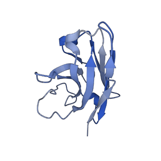 31456_7f53_N_v1-1
Cryo-EM structure of a-MSH-MC4R-Gs_Nb35 complex