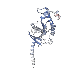 31457_7f54_A_v1-1
Cryo-EM structure of afamelanotide-MC4R-Gs_Nb35 complex