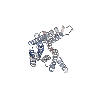 31457_7f54_R_v1-1
Cryo-EM structure of afamelanotide-MC4R-Gs_Nb35 complex