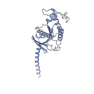 31458_7f55_A_v1-1
Cryo-EM structure of bremelanotide-MC4R-Gs_Nb35 complex