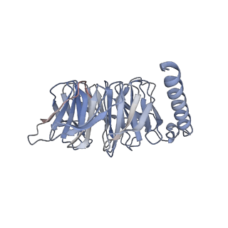 31458_7f55_B_v1-1
Cryo-EM structure of bremelanotide-MC4R-Gs_Nb35 complex