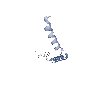 31458_7f55_G_v1-1
Cryo-EM structure of bremelanotide-MC4R-Gs_Nb35 complex