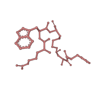 31458_7f55_L_v1-1
Cryo-EM structure of bremelanotide-MC4R-Gs_Nb35 complex