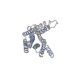 31458_7f55_R_v1-1
Cryo-EM structure of bremelanotide-MC4R-Gs_Nb35 complex