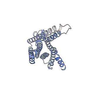 31461_7f58_R_v1-1
Cryo-EM structure of THIQ-MC4R-Gs_Nb35 complex