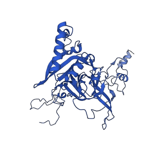 31465_7f5s_LB_v1-0
human delta-METTL18 60S ribosome