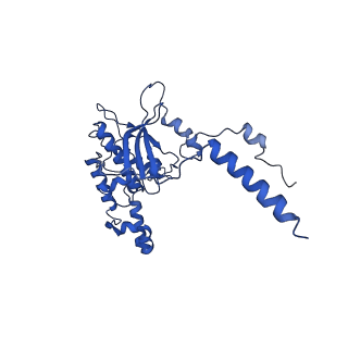 31465_7f5s_LD_v1-0
human delta-METTL18 60S ribosome