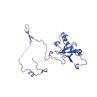 31465_7f5s_LE_v1-0
human delta-METTL18 60S ribosome