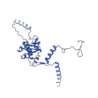 31465_7f5s_LG_v1-0
human delta-METTL18 60S ribosome