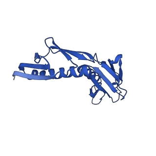 31465_7f5s_LH_v1-0
human delta-METTL18 60S ribosome