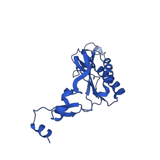 31465_7f5s_LI_v1-0
human delta-METTL18 60S ribosome