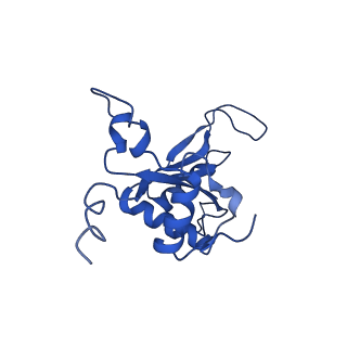 31465_7f5s_LJ_v1-0
human delta-METTL18 60S ribosome