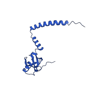 31465_7f5s_LM_v1-0
human delta-METTL18 60S ribosome