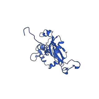 31465_7f5s_LN_v1-0
human delta-METTL18 60S ribosome