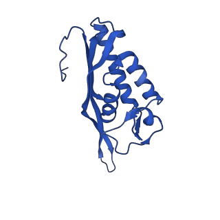31465_7f5s_LP_v1-0
human delta-METTL18 60S ribosome