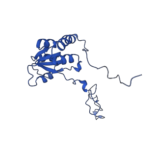 31465_7f5s_LQ_v1-0
human delta-METTL18 60S ribosome