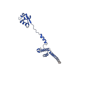 31465_7f5s_LR_v1-0
human delta-METTL18 60S ribosome