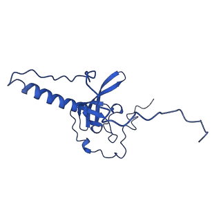 31465_7f5s_LT_v1-0
human delta-METTL18 60S ribosome