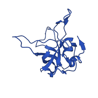 31465_7f5s_LV_v1-0
human delta-METTL18 60S ribosome