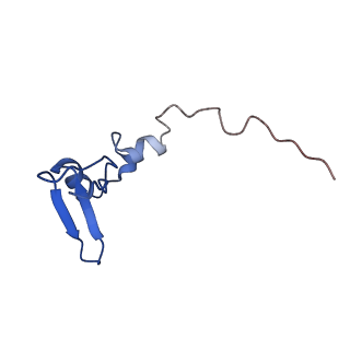 31465_7f5s_LW_v1-0
human delta-METTL18 60S ribosome