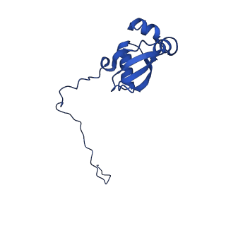 31465_7f5s_LX_v1-0
human delta-METTL18 60S ribosome