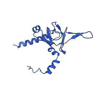 31465_7f5s_LY_v1-0
human delta-METTL18 60S ribosome