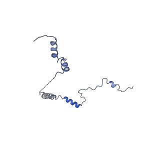 31465_7f5s_Lb_v1-0
human delta-METTL18 60S ribosome