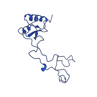 31465_7f5s_Le_v1-0
human delta-METTL18 60S ribosome