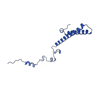 31465_7f5s_Lh_v1-0
human delta-METTL18 60S ribosome