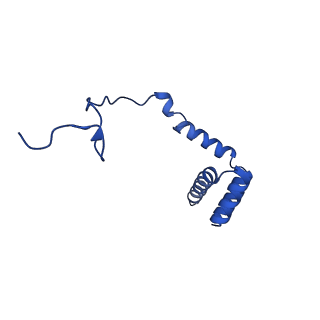 31465_7f5s_Li_v1-0
human delta-METTL18 60S ribosome