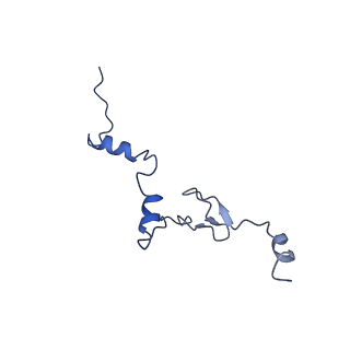 31465_7f5s_Lj_v1-0
human delta-METTL18 60S ribosome