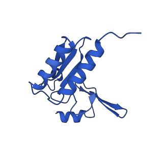 31465_7f5s_Lr_v1-0
human delta-METTL18 60S ribosome