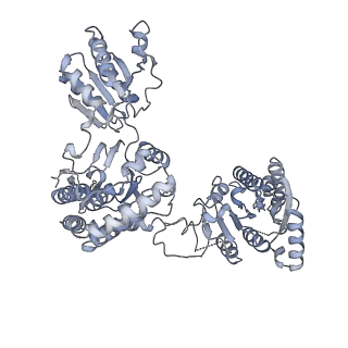 31466_7f5t_C_v1-0
Drosophila P5CS filament with glutamate