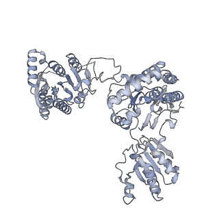31466_7f5t_D_v1-0
Drosophila P5CS filament with glutamate