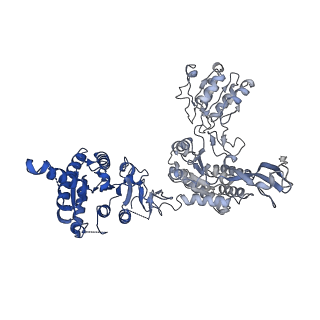 31468_7f5v_A_v1-0
Drosophila P5CS filament with glutamate, ATP, and NADPH