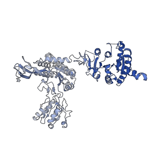 31468_7f5v_B_v1-0
Drosophila P5CS filament with glutamate, ATP, and NADPH
