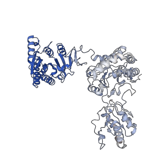 31468_7f5v_C_v1-0
Drosophila P5CS filament with glutamate, ATP, and NADPH