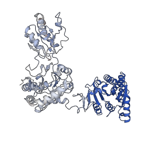 31468_7f5v_D_v1-0
Drosophila P5CS filament with glutamate, ATP, and NADPH