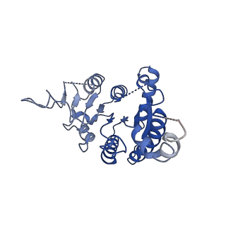 31469_7f5x_A_v1-0
GK domain of Drosophila P5CS filament with glutamate