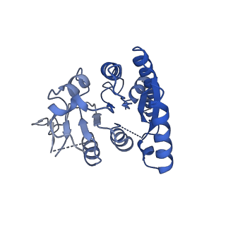 31469_7f5x_C_v1-0
GK domain of Drosophila P5CS filament with glutamate