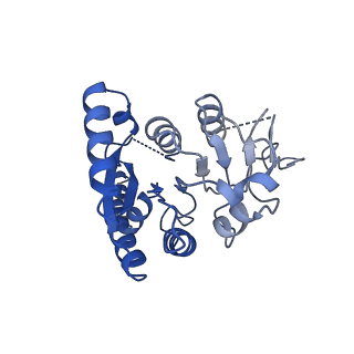 31469_7f5x_D_v1-0
GK domain of Drosophila P5CS filament with glutamate
