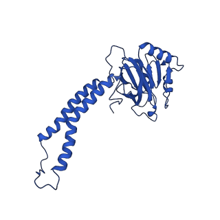 28877_8f68_B_v1-3
E. coli cytochrome bo3 ubiquinol oxidase monomer