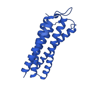 28877_8f68_C_v1-3
E. coli cytochrome bo3 ubiquinol oxidase monomer